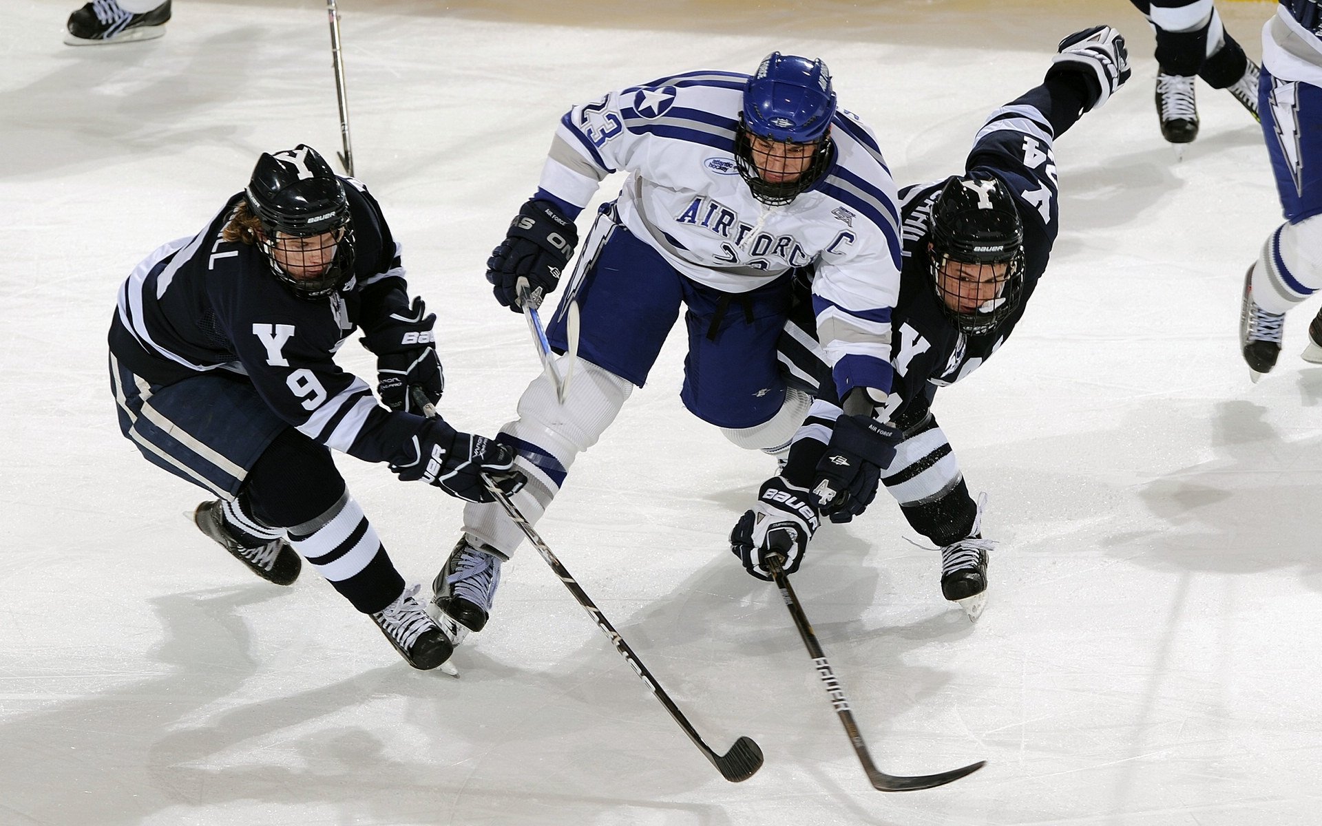 综合体育系校内联赛开打 篮足排三大球赛程出炉